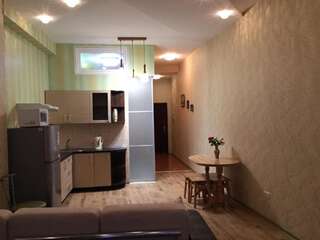 Апартаменты Arkadia Palace Apartments Одесса Апартаменты с 1 спальней и балконом-15